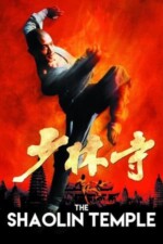 Movie Shaolin Temple