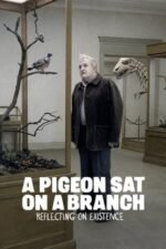 Movie A Pigeon Sat on a Branch Reflecting on Existence
