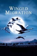Movie Winged Migration