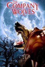Movie The Company of Wolves