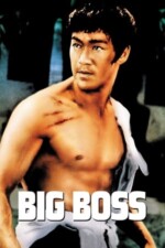 Movie The Big Boss