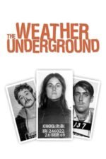 Movie The Weather Underground