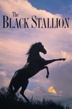 Movie The Black Stallion