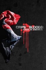 Movie Crips and Bloods: Made in America