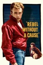 Movie Rebel Without a Cause