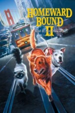 Movie Homeward Bound II: Lost in San Francisco