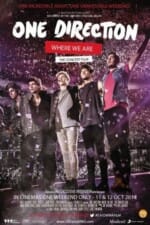 Movie One Direction: Where We Are – The Concert Film