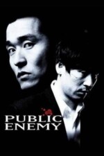 Movie Public Enemy