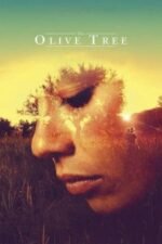 Movie The Olive Tree