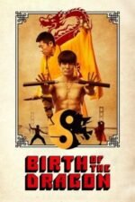 Movie Birth of the Dragon