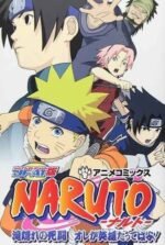 Movie Naruto: The Lost Story – Mission: Protect the Waterfall Village!