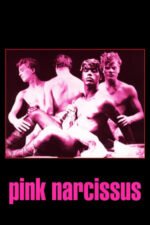 Movie Pink Narcissus