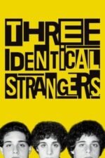 Movie Three Identical Strangers