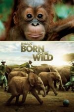 Movie Born to Be Wild