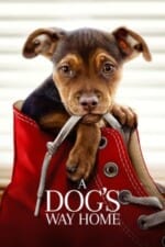 Movie A Dog’s Way Home