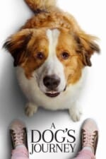 Movie A Dog’s Journey