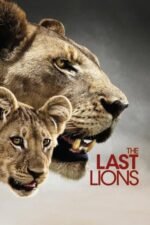 Movie The Last Lions