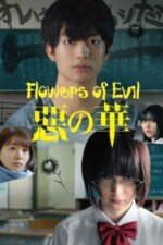 Movie The Flowers of Evil