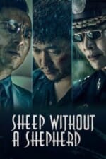 Movie Sheep Without a Shepherd