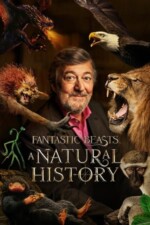 Movie Fantastic Beasts: A Natural History