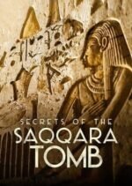Movie Secrets of the Saqqara Tomb