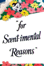 Movie For Scent-imental Reasons