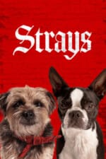 Movie Strays