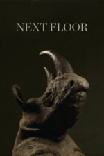 Movie Next Floor