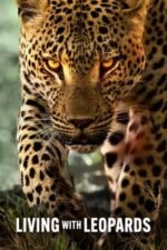 Movie Living with Leopards