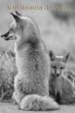 Movie Fox Hunting