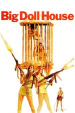 Movie The Big Doll House