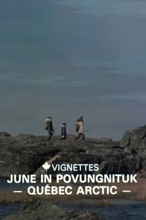 Canada Vignettes: June in Povungnituk – Quebec Arctic