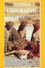 Movie Etosha: Place of Dry Water