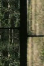 Arbres