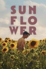 Movie Sunflower