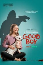 Movie Good Boy