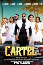 Movie Cartel