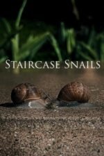 Movie Staircase Snails
